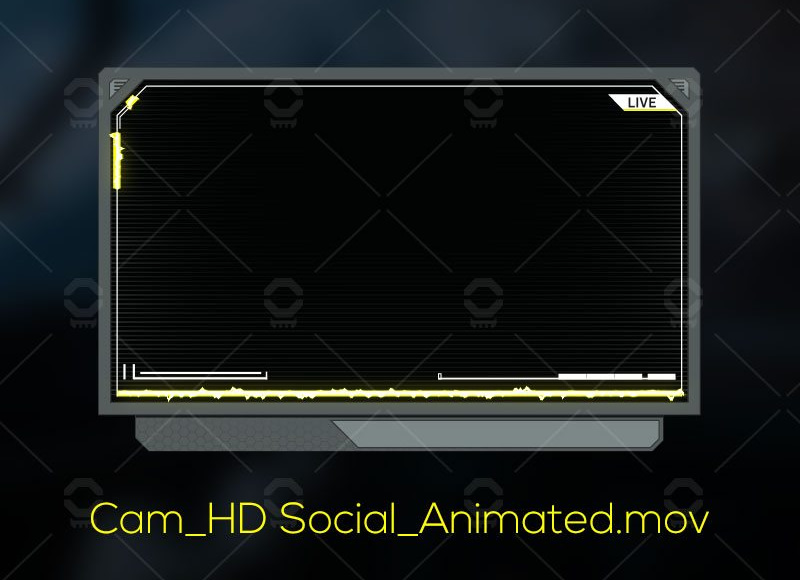 Animated Webcam Overlay by NoD